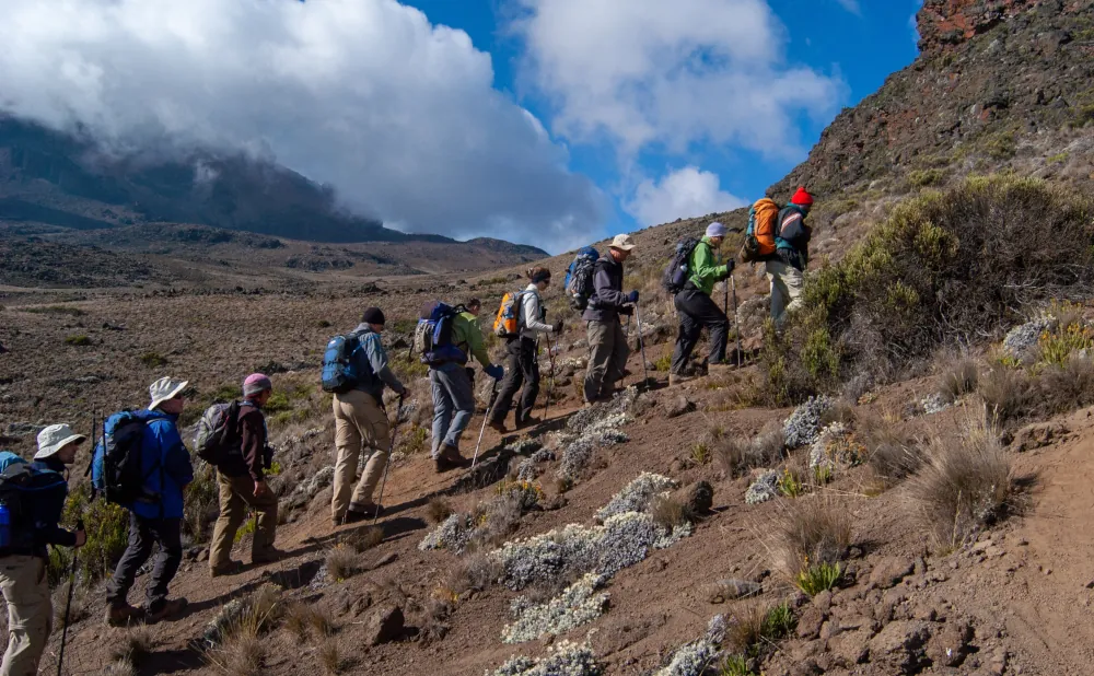 Lemosho Route
