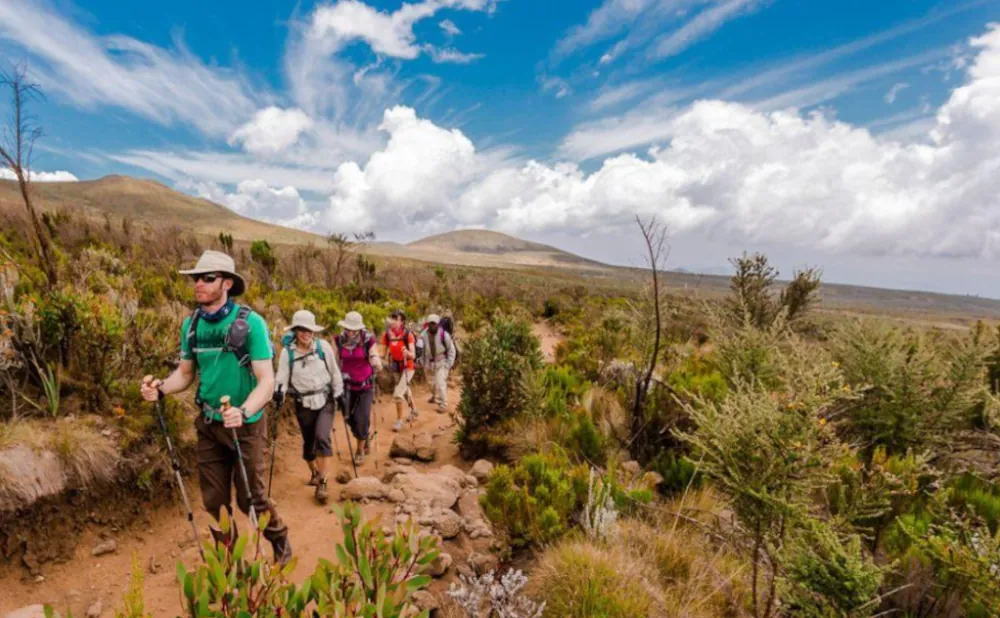 Machame route