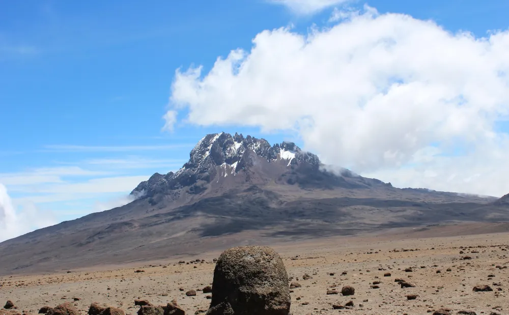 7 DAYS MAWENZI PEAK