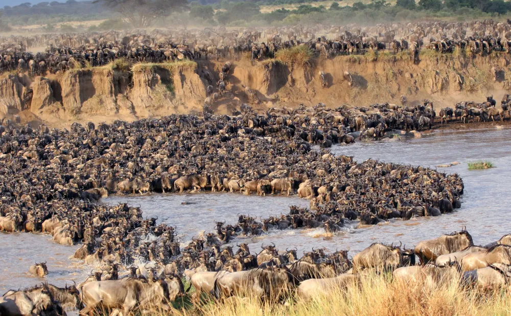 6 DAYS WILDLIFE SAFARI
