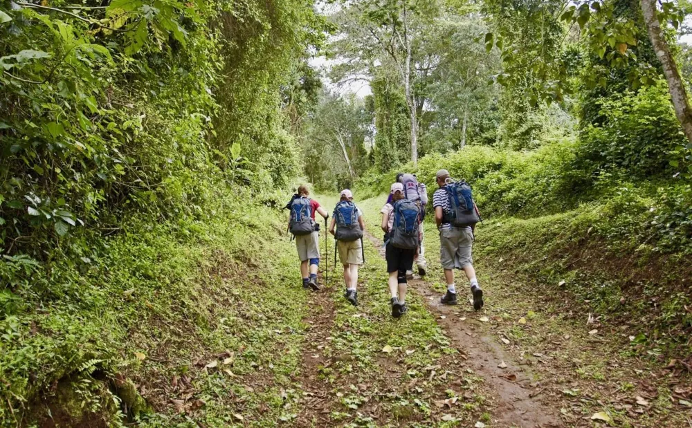 MARANGU TRIP
